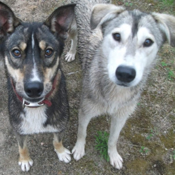 Meet your Posher, Lou_killouque3 - Picture 1 of 1